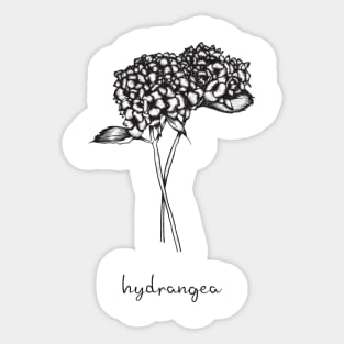 Hydrangea linedrawing Sticker